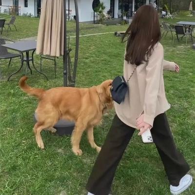 白犀牛